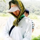 내고향카페 Daum카페