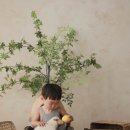 [육아일기] ㅣ 의정부 아기사진 <마틴쇼룸>에서 둘째 500일 겸 두돌사진 후기