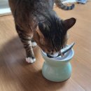 오늘도 맛있개 이미지