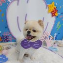 굿데이멍 이미지