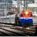 H1043 이미지