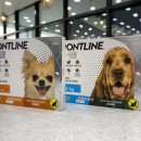 청춘약국 이미지