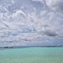 두마농장 | 보홀 두마루안 비치 후기