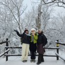 새부산카 이미지