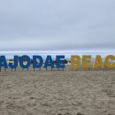 포레스트 캠핑장 이미지