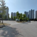원주시 농산물공영도매시장 | 원주시 농산물 공영 도매시장에서 과일 구매후기