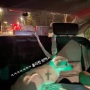 멍냥스토리 - 양주시 옥정로 204 | 멍냥스토리