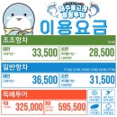 제주돌고래힐링투어