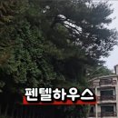 펜텔하우스 이미지