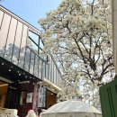 빈스로드 | 서울 목련뷰 카페 추천 : 빈스로드 상봉 본점 오픈런 후기