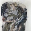 청보리오토캠핑장