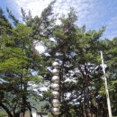 창곡길 Daum카페