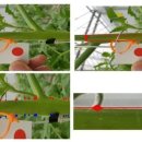 내장농장 이미지