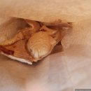 영자분식 | 겨울에 여기 안 가면 손해! ❄️ 예술·눈썰매·먹방까지 다 되는 ‘양주눈꽃축제’ 솔직 방문 후기