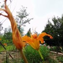 인천적십자병원 이미지