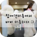럭키미용타운 - 보령시 | 럭키미용타운