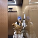 코코바리 | 2026.06.15:)