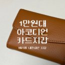 아코디언 | 1만원대 가죽 아코디언 카드지갑 구매 후기 <내돈내산>