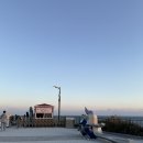 오륙도 스카이워크 | 부산 가볼만한곳 오륙도 스카이워크 전망대 벚꽃 시즌 솔직후기