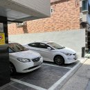 [대구 중구 삼덕동 밥집]반려동물 동반 가능한 데이트 하기좋은 양식 맛집 추천 플레이