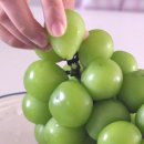 정호 농장 이미지