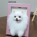 [E.rul:이룰] 부산 해운대 이룰스튜디오 양모액자 클래스 후기 - 두번째 이야기