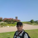 시흥 갯골생태공원 (2021.08.15) 이미지