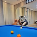 구름 빌리어드 이미지