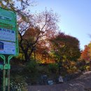 오 킴밥 이미지