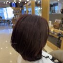 120%쿨(에비뉴)