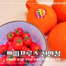 [천안 청당동] 맛있는 과일이 가득한 프리미엄 과일가게 &#39;쁘띠프루츠 천안점&#39;
