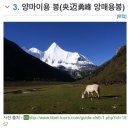 낙양목장 이미지