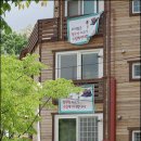 라야 이미지