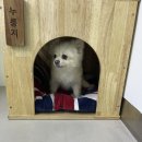 (주)쿨펫 이미지