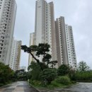 삼성센트럴정신건강의학과의원 이미지