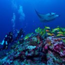 (주)유앤미팜 | #W10 신혼여행 몰디브 리조트 학과 졸업후기 | 몰디브 총정리 | 여행사추천 및 할인방법 | 몰디브 숙소...