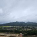 하회안동찜닭 이미지