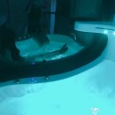 더이스트펜션 이미지