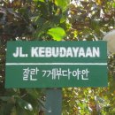 바우바우 이미지