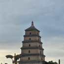중국 시안 4일차(홍경공원,서안성벽,실크로드쇼,대안탑,불야성거리) 이미지
