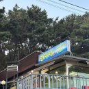 [중구/인천] 영종도 을왕리 네스트호텔 한식 조개구이 맛집 현미네조개구이 후기
