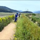 방죽 이미지