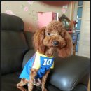 선주동물병원 이미지