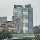 시너바슈즈마트