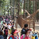 부산 유일 동물원 삼정더파크 개원 6년만에 결국 폐업 이미지
