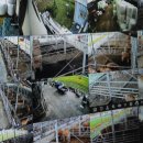 당찬한우 이미지