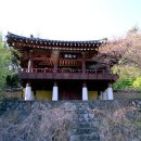 용평동 용호정 이미지