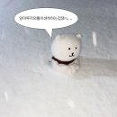 덕질을 못하는 드덕의 일상 (+요즘 보는 드라마)