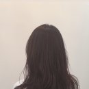 공작미용실 이미지