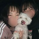 희현상사 이미지